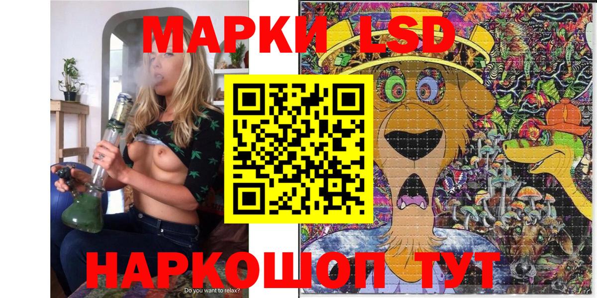 Псилоцибиновые грибы Лесозаводск