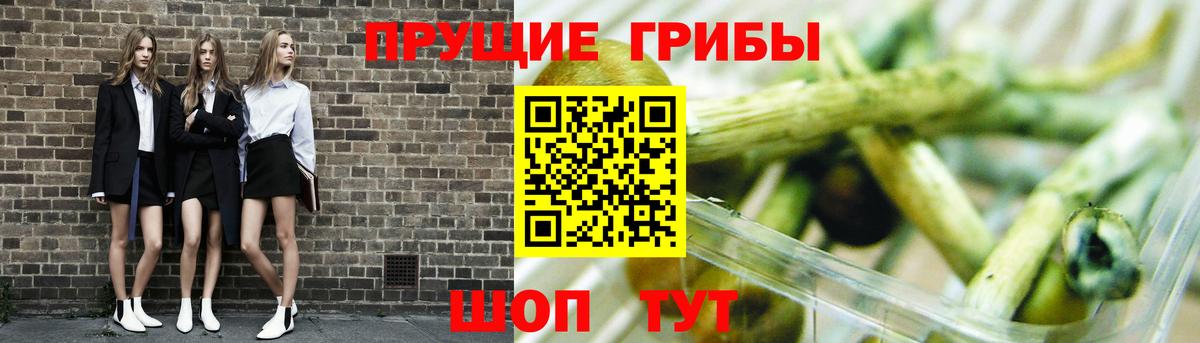 Галлюциногенные грибы мухоморы Лесозаводск