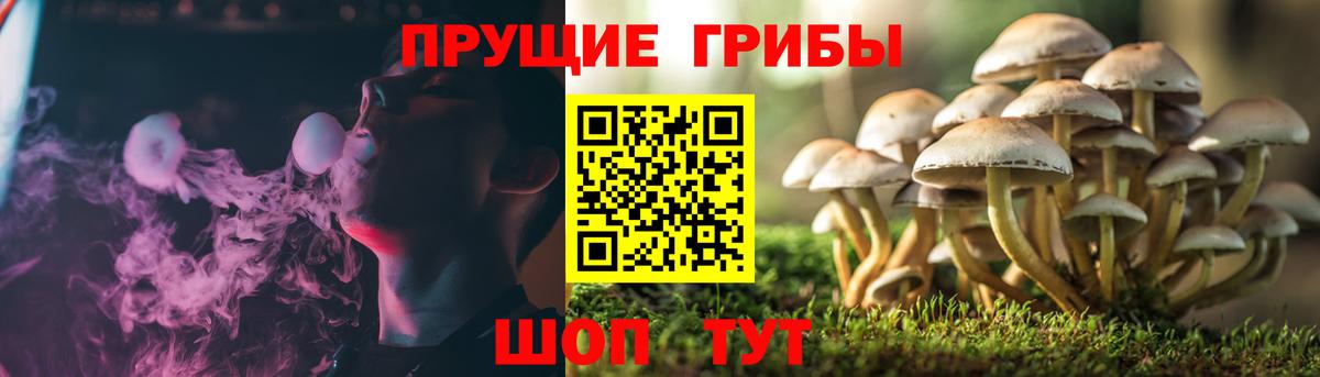 Лесозаводск  Галлюциногенные грибы мухоморы  Вход с VPN 